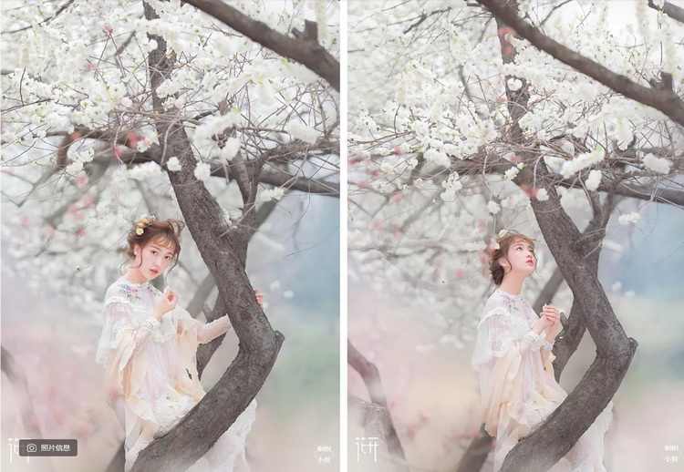 蝈蝈小姐古风摄影人像后期调色修图视频教程两季完整版带素材