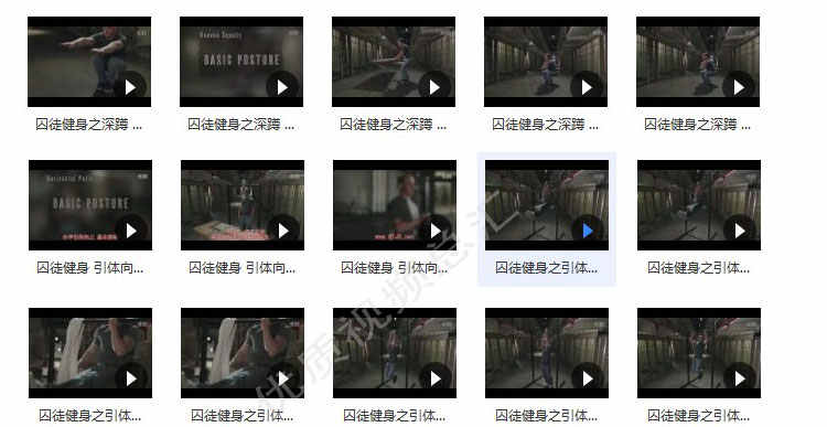 囚徒健身全套教学视频教程中文字幕男士增肌减脂运动训练学习教材