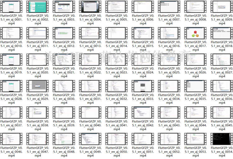 Flutter视频入门到精通实战视频教程 (12套) 带项目完整版带源码