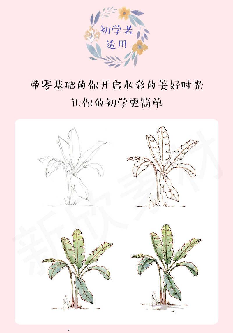 素描教程网课入门自学零基础课程视频课件人像教学电子版学习油画