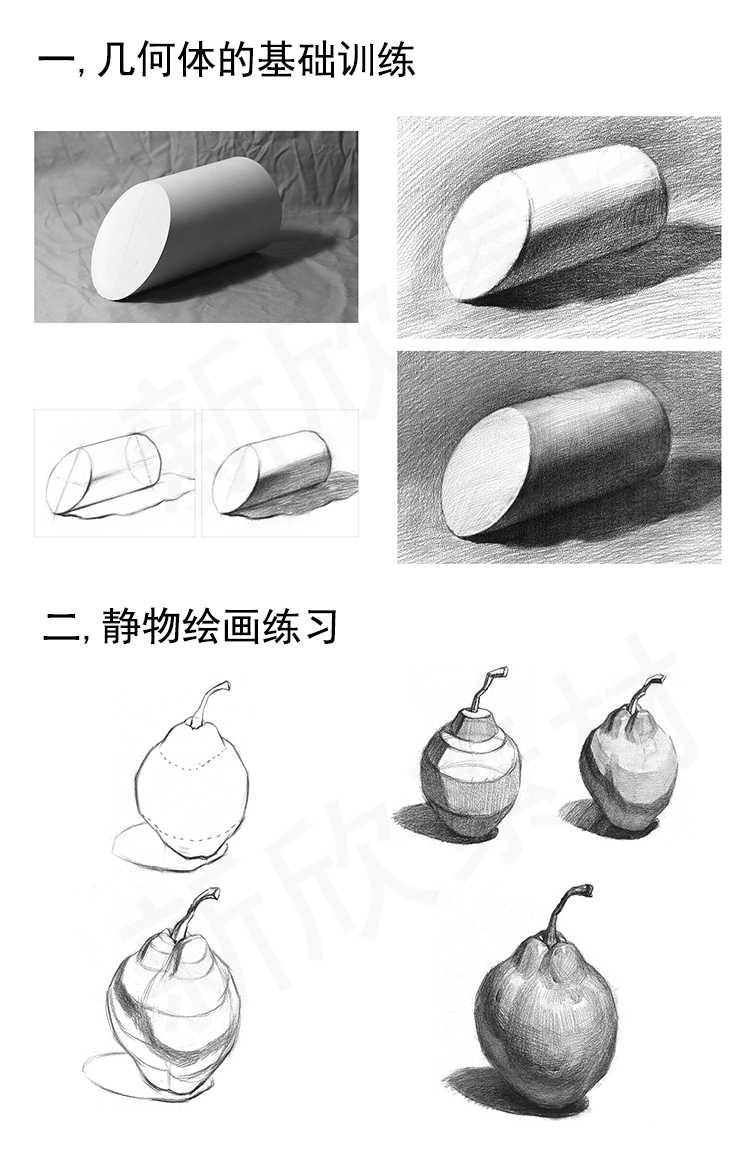 素描教程网课入门自学零基础课程视频课件人像教学电子版学习油画