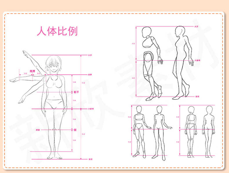 素描教程网课入门自学零基础课程视频课件人像教学电子版学习油画