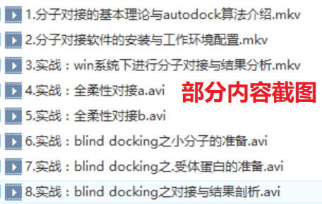 分子对接视频教程/Autodock视频教程/Vina视频教程 - 宋马
