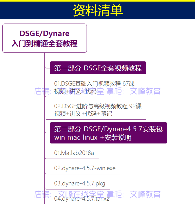 Dynare/DSGE模型入门与实战/完整全套/视频教程/宏观经济模型