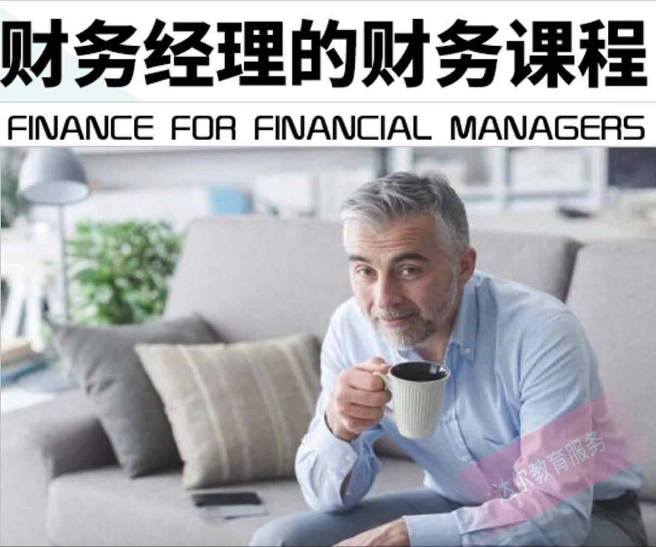 财务经理 财务总监 实务培训教程课程视频 公司财务管理培训课程