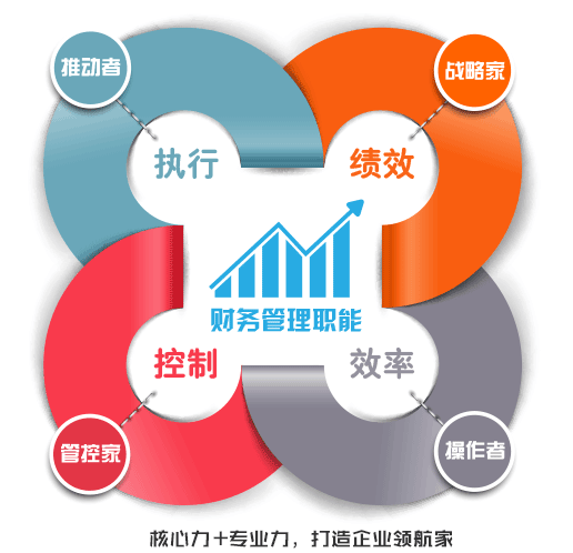 财务经理 财务总监 实务培训教程课程视频 公司财务管理培训课程
