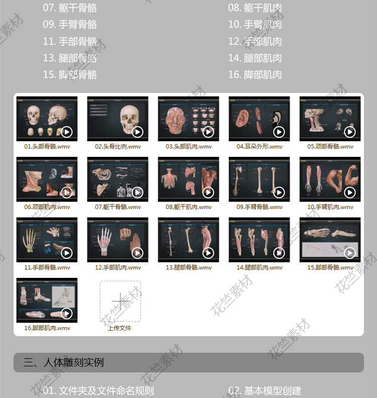 图片[6] - Zbrush三维人体结构艺用解剖 3d雕刻骨骼肌肉zb建模中文视频教程 - 宋马