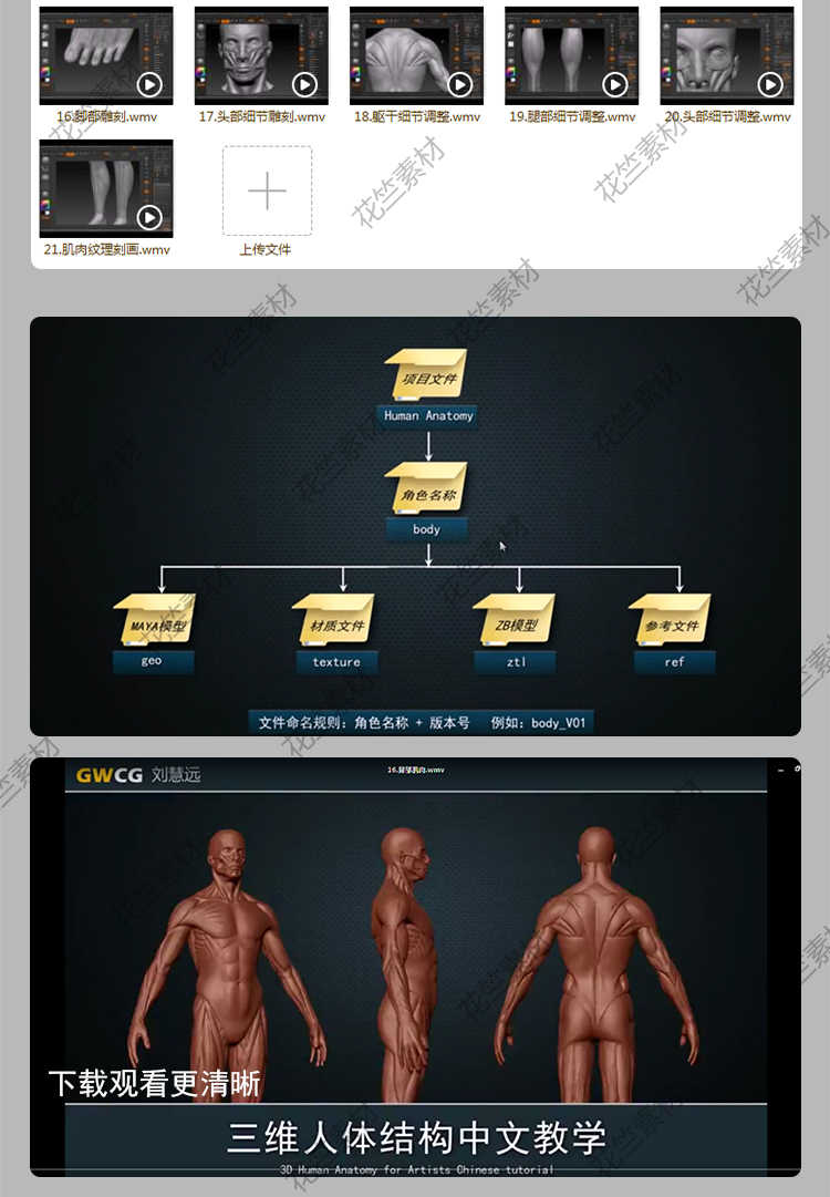 图片[8] - Zbrush三维人体结构艺用解剖 3d雕刻骨骼肌肉zb建模中文视频教程 - 宋马