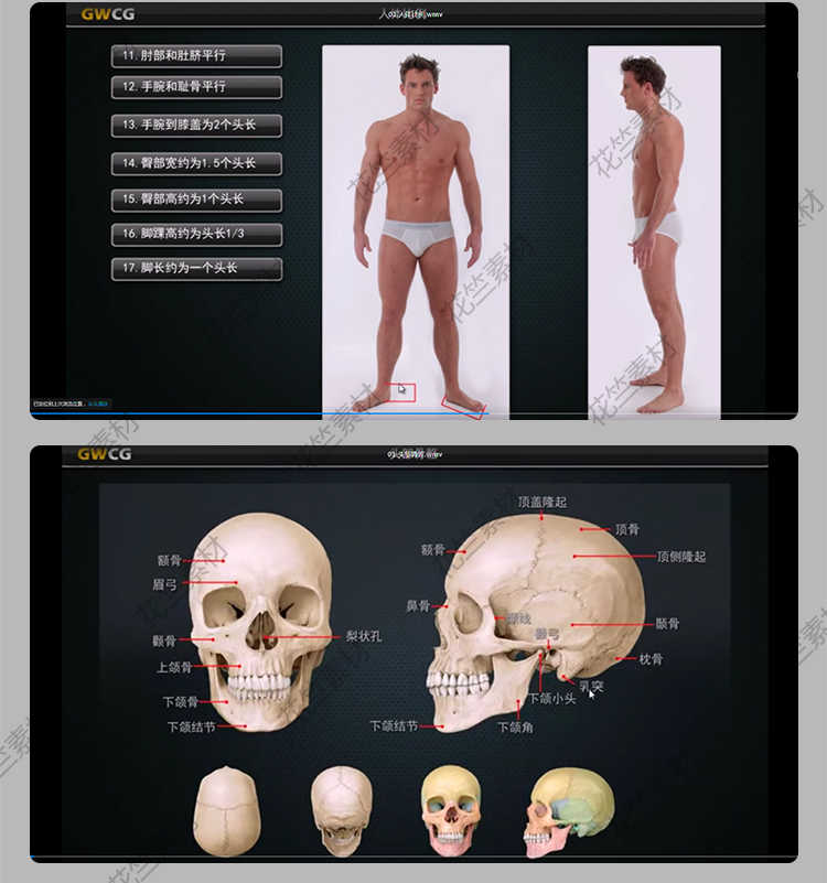 图片[9] - Zbrush三维人体结构艺用解剖 3d雕刻骨骼肌肉zb建模中文视频教程 - 宋马