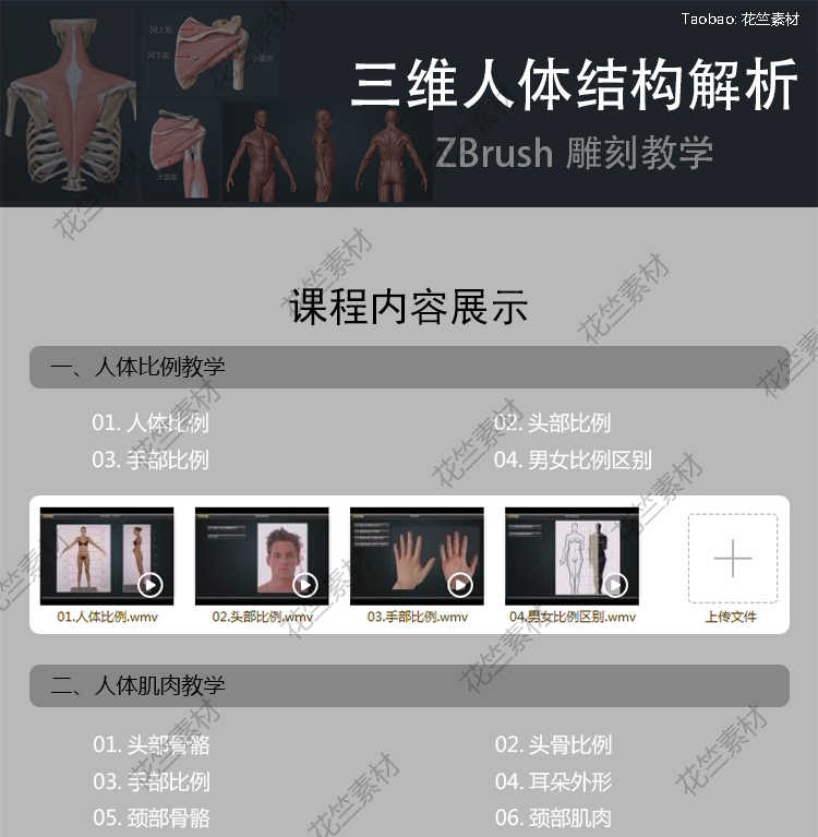 图片[5] - Zbrush三维人体结构艺用解剖 3d雕刻骨骼肌肉zb建模中文视频教程 - 宋马