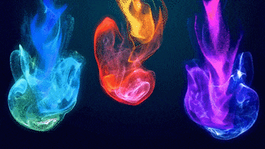 AE插件全套中文合集包调色脚本ae插件一键安装支持CC201820192020