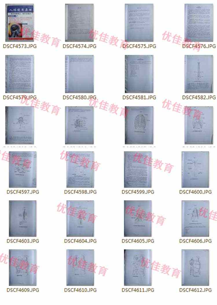 美式整脊疗法视频教程美式整脊正骨技术中医谢庆良正骨整脊手法