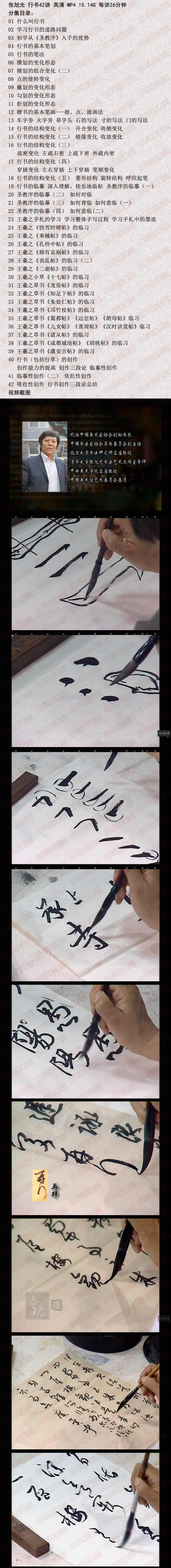 张旭光 行书42讲书法视频教程毛笔书法教学视频讲座行书自学