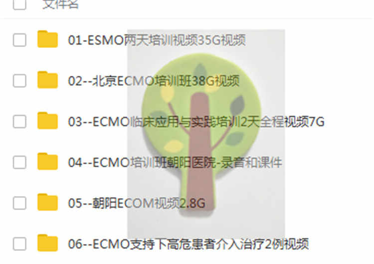 体外膜氧合技术ECMO临床应用与实践培训班6套视频教程合集85G