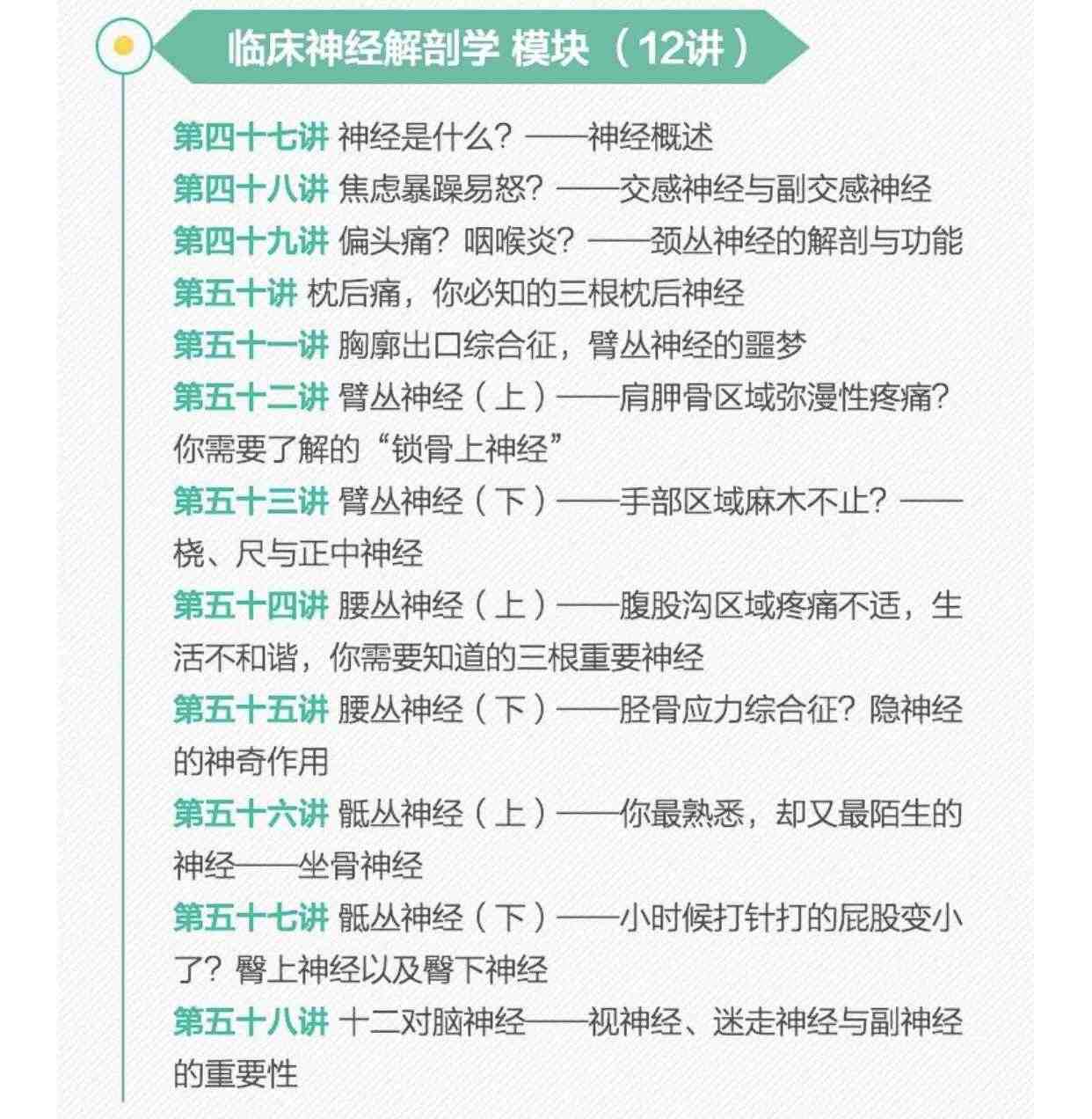64天读7本疼痛康复 解剖视频关节松动术列车基础肌动学步态课教程