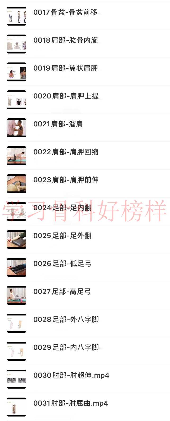 2020苟文强FSN运动康复培训自学视频教程31种体态矫正健身拉伸