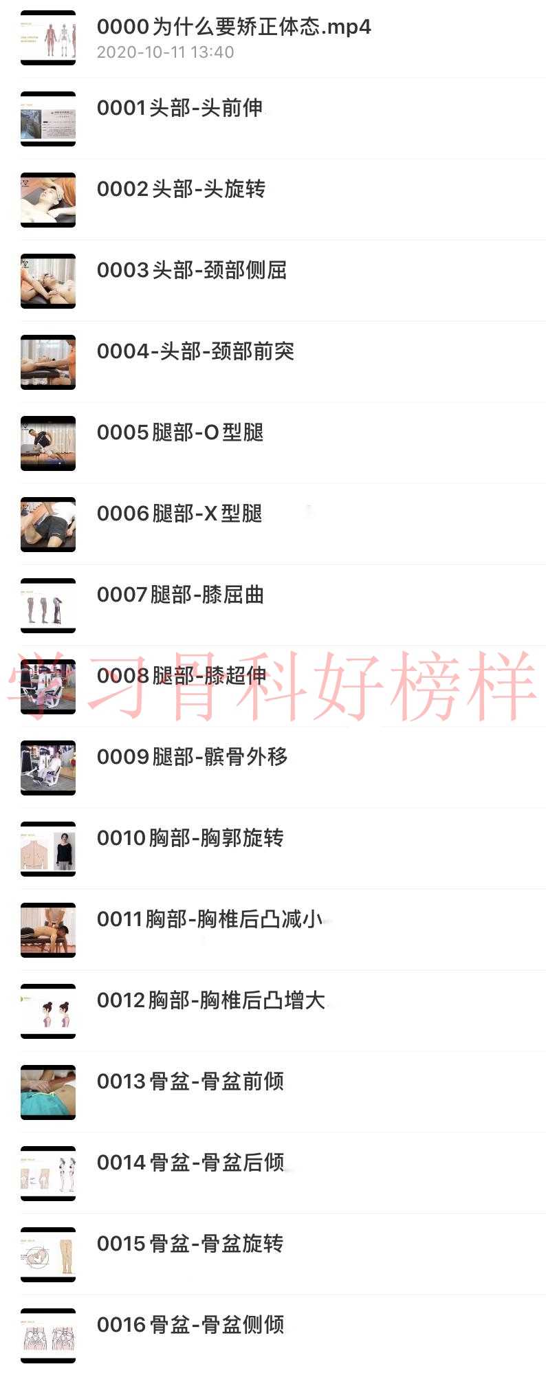 2020苟文强FSN运动康复培训自学视频教程31种体态矫正健身拉伸