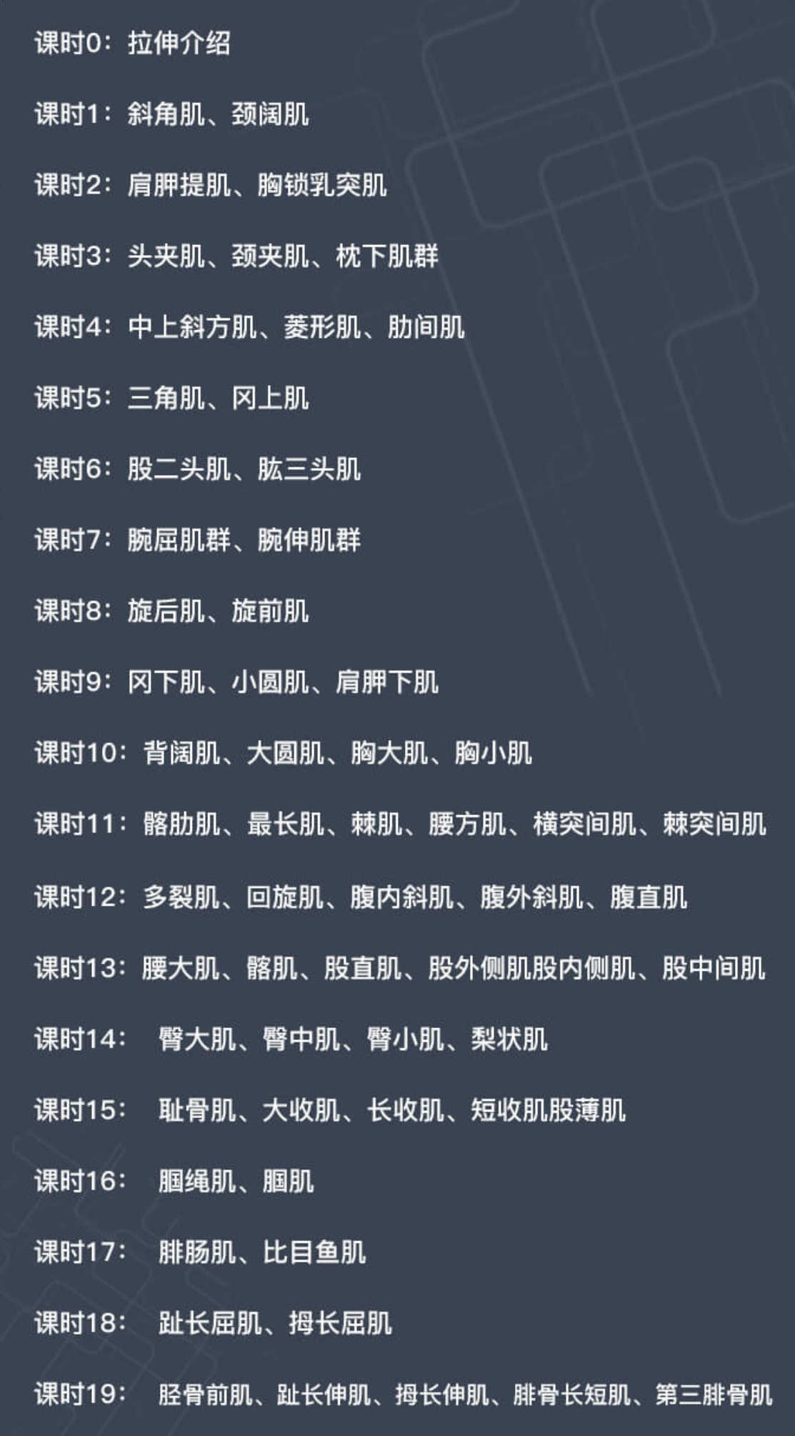 2020FNS苟文强62块肌肉拉伸自学康复教程视频解剖健身运动功能