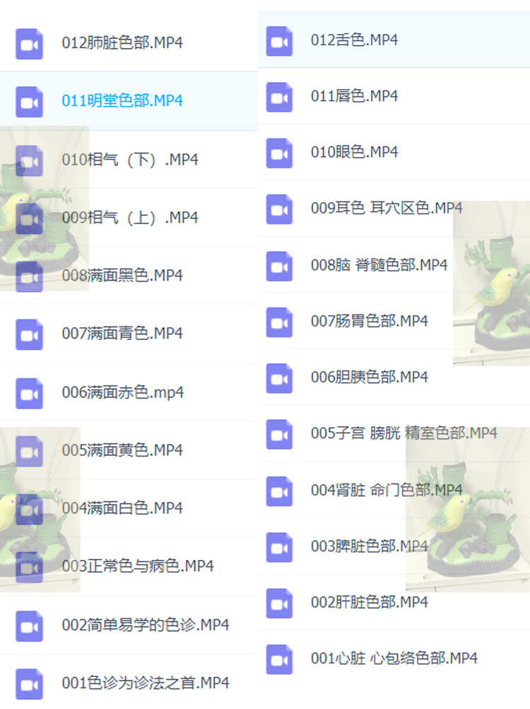 中医自学王鸿谟面诊视频教程1-25集大全教学视频课程看自己的脸色 - 宋马