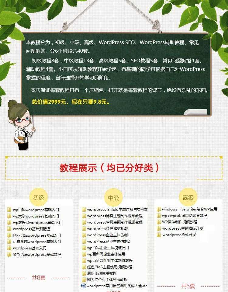 wordpress教程零基础建站初中高自学视频新手仿站做SEO优化赠主题