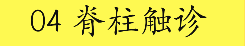 2020美式整脊董安立自学视频教程中医正骨脊柱椎手法推拿康复合集