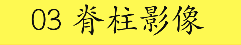 2020美式整脊董安立自学视频教程中医正骨脊柱椎手法推拿康复合集