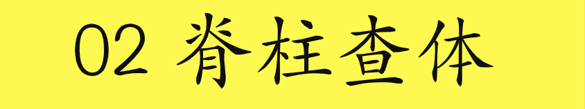 2020美式整脊董安立自学视频教程中医正骨脊柱椎手法推拿康复合集
