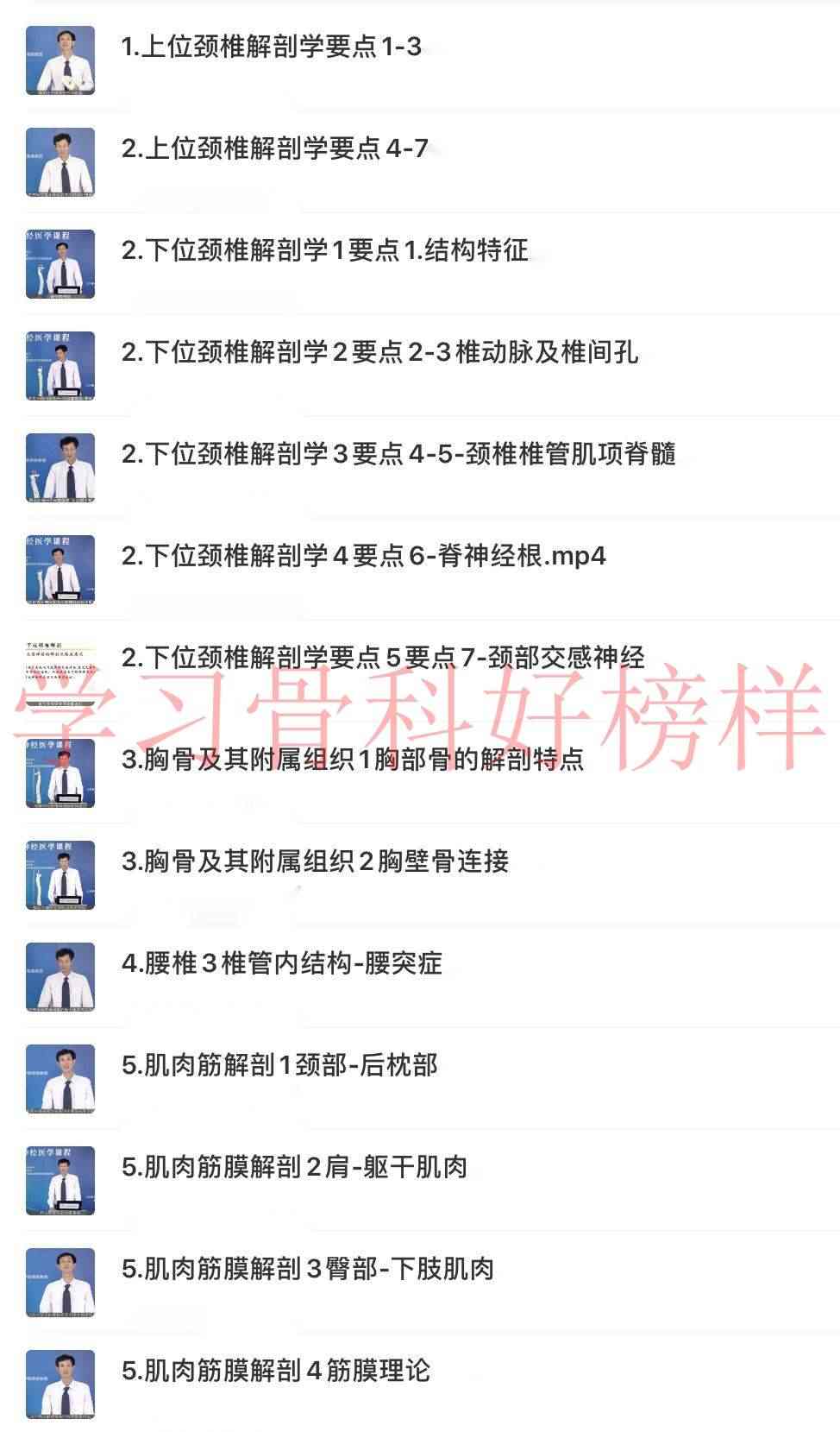 2020美式整脊董安立自学视频教程中医正骨脊柱椎手法推拿康复合集