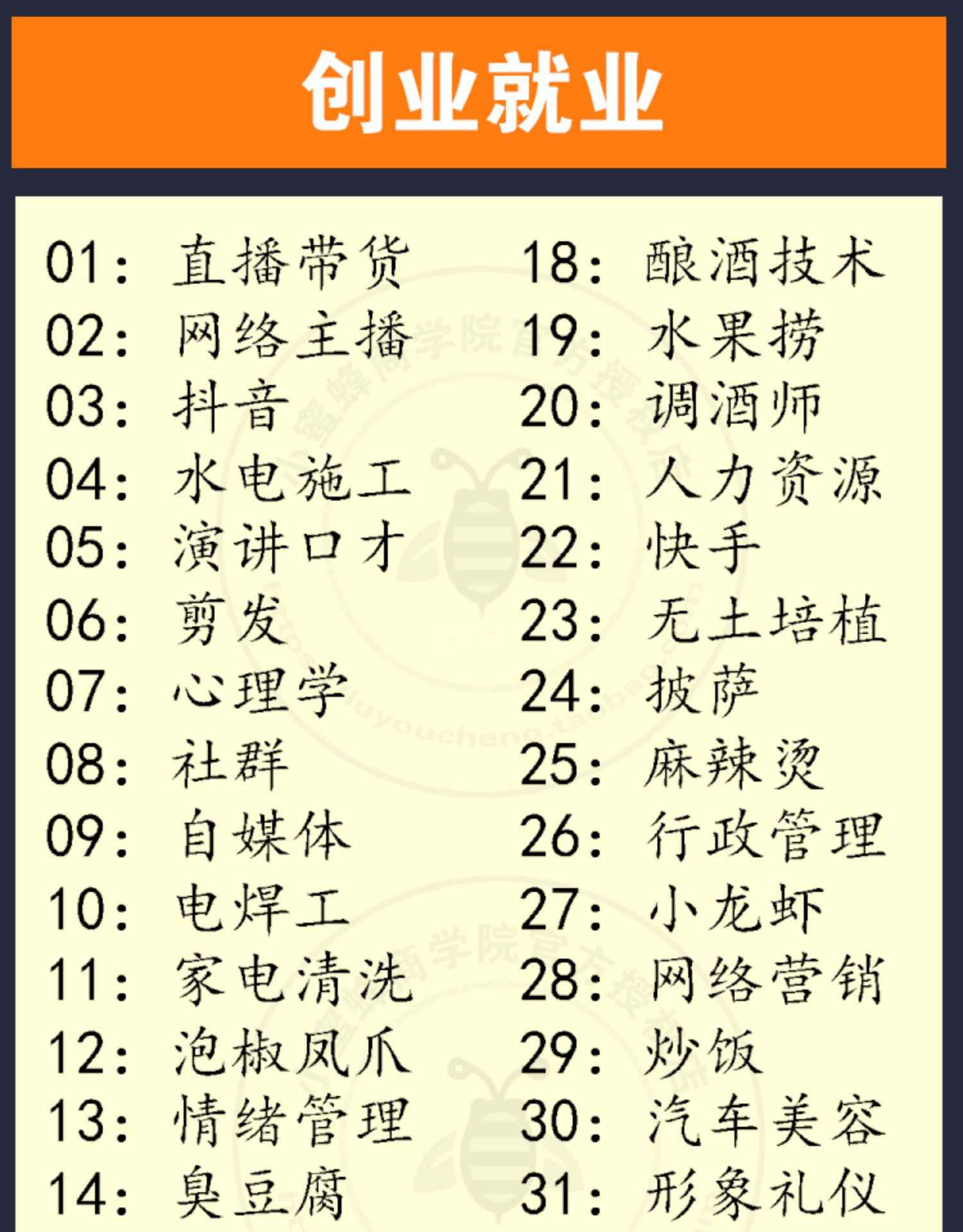 Access2013/2010/2007/2003数据库开发教学视频教程自学全套入门