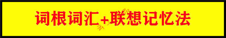 菲常记忆大师视频教程宫殿卢菲菲的课程超脑训练特训营单词全套