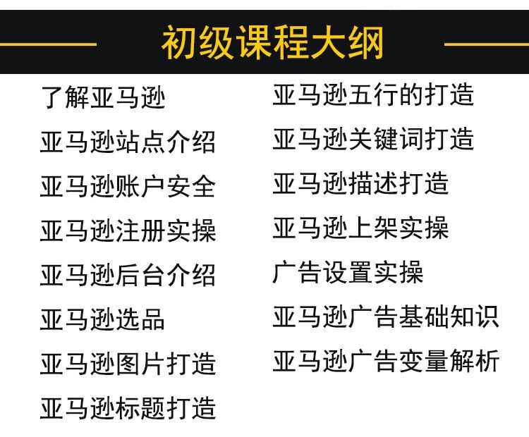 2021亚马逊运营教程新手全球开店注册视频外贸跨境电商培训Amazon