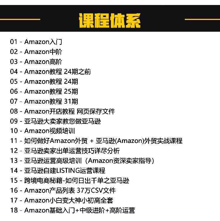 2021亚马逊运营教程新手全球开店注册视频外贸跨境电商培训Amazon