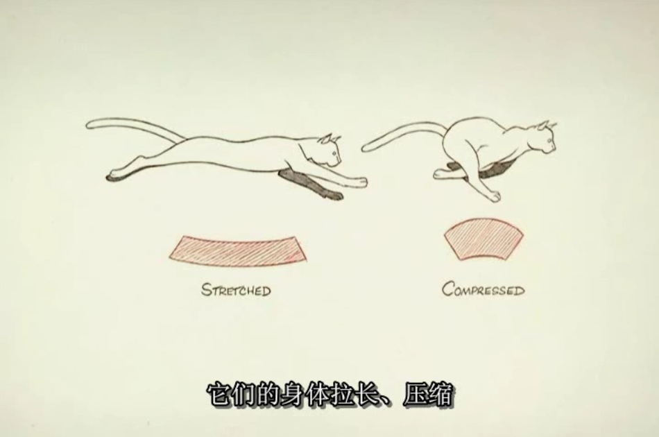 动画师生存手册 原动画基础教程 视频教程（中文字幕)PDF文件