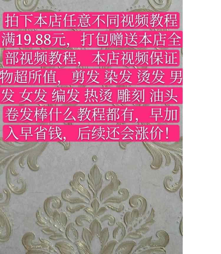 巴卡罗七大设计原理杨臻风格美学整体形象设计美感美发视频教程