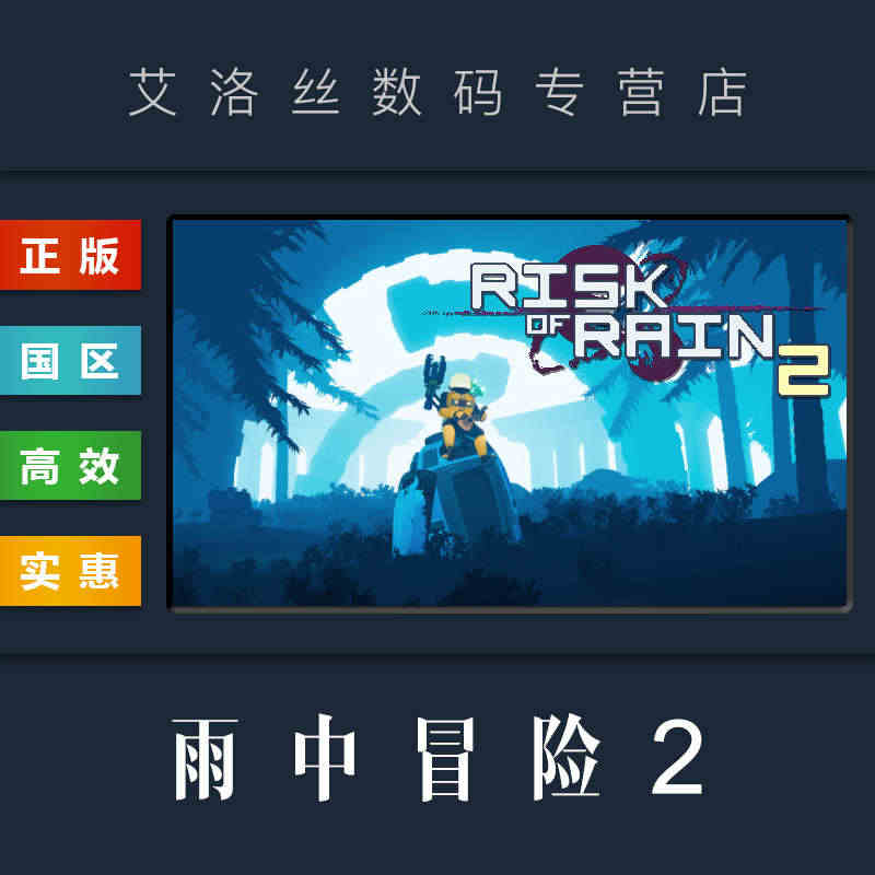 PC中文正版 steam平台 国区 联机游戏 雨中冒险2 Risk o...