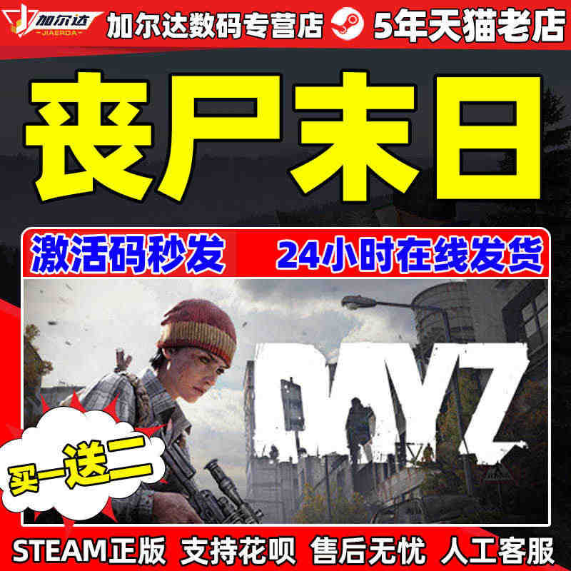 steam游戏 dayz 僵尸 丧尸末日key 利沃尼亚dlc 中文P...