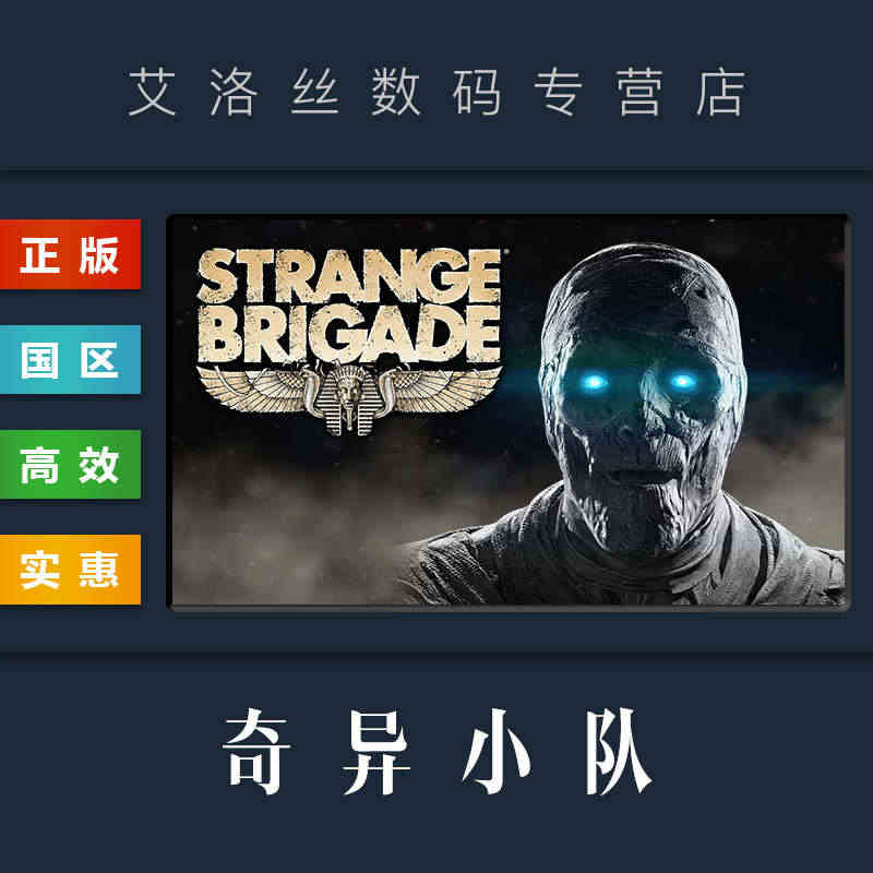 PC中文正版 steam平台 国区 游戏 奇异小队 奇兵旅 Stran...