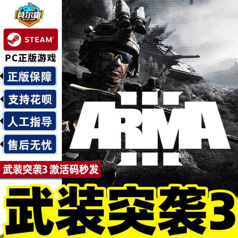 Steam ARMA3 武装突袭3 激活码CDKEY 国区/全球 定端...