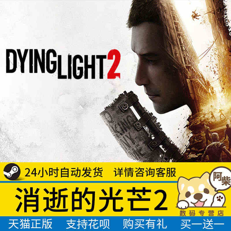 Steampc中文 正版激活码 消逝的光芒2 Dying Light ...