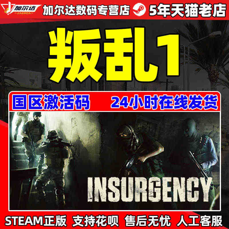 steam 叛乱  Insurgency 叛乱1 PC中文正版 国区激...