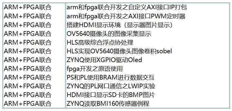 适用FPGA开发板  ZYNQ开发板 zynq7020 PYNQ 人工智能 套件