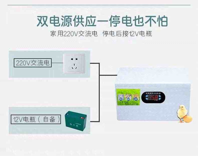 闪恒孵化器小型机器孵家用的小鸡电浮鸡浮化器鸡蛋孵蛋器全自动智