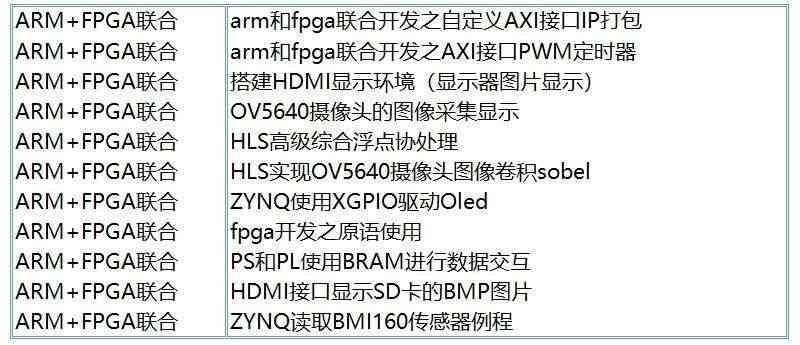 适用ZYNQ开发板 FPGA开发板 ZYNQ7020 嵌入式 人工智能