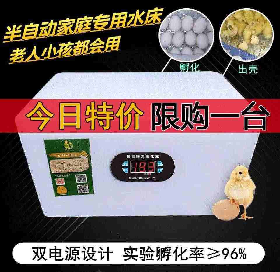 GY机器小鸡孵化机呼化器孵小鸡的家用全自动家用型小型敷鸡蛋器鹌...