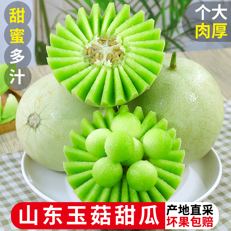 【香菇姐姐】冰淇淋玉菇甜瓜 单果900g+新鲜水果软糯香甜瓜...