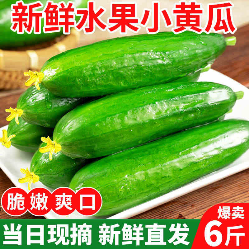 水果黄瓜新鲜生吃小黄瓜青瓜蔬菜时令白玉女蔬菜旱即食整箱包邮...