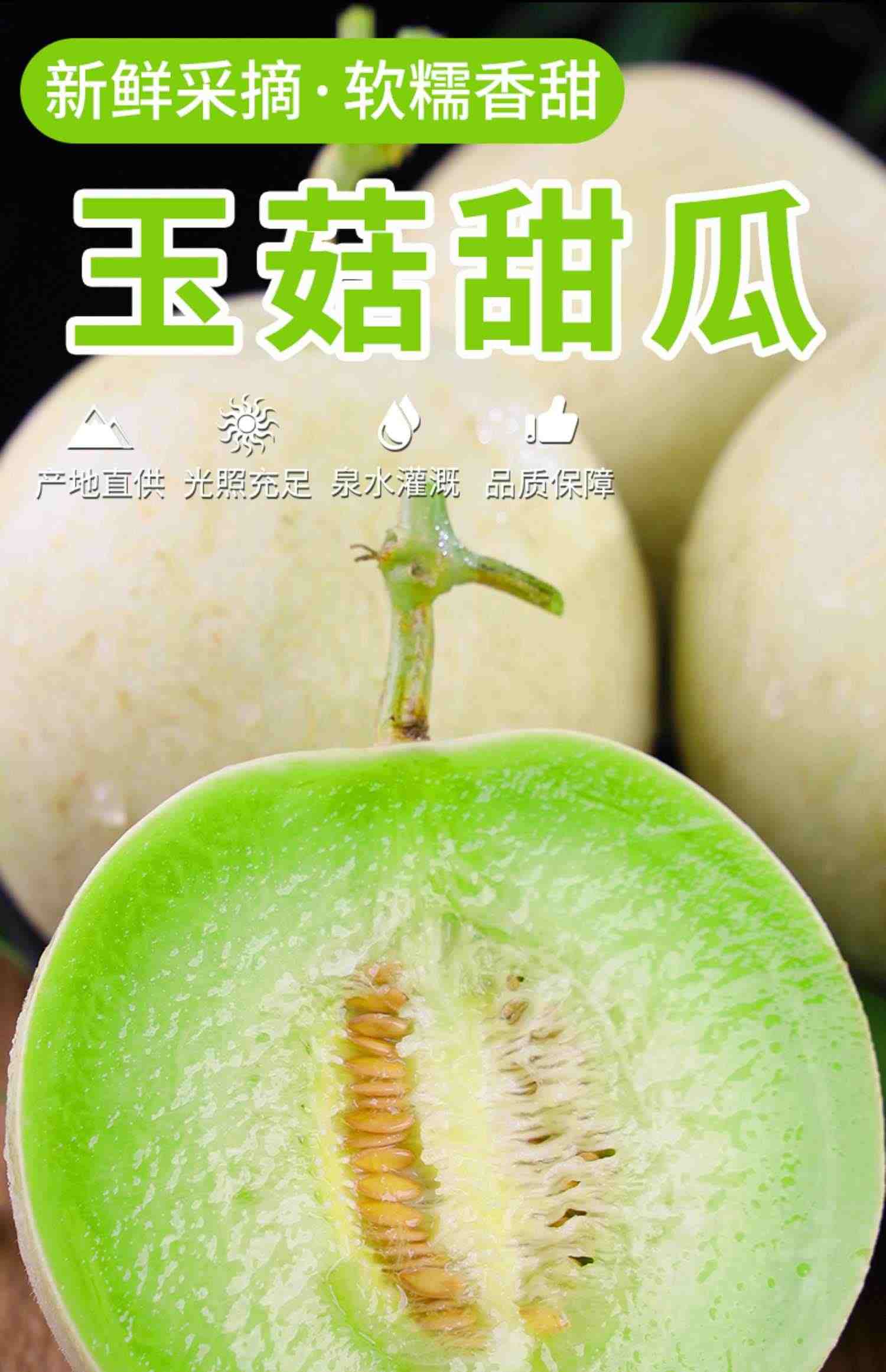 冰淇淋玉菇甜瓜新鲜9斤水果当季整箱玉茹香瓜蜜瓜哈5密瓜南汇包邮