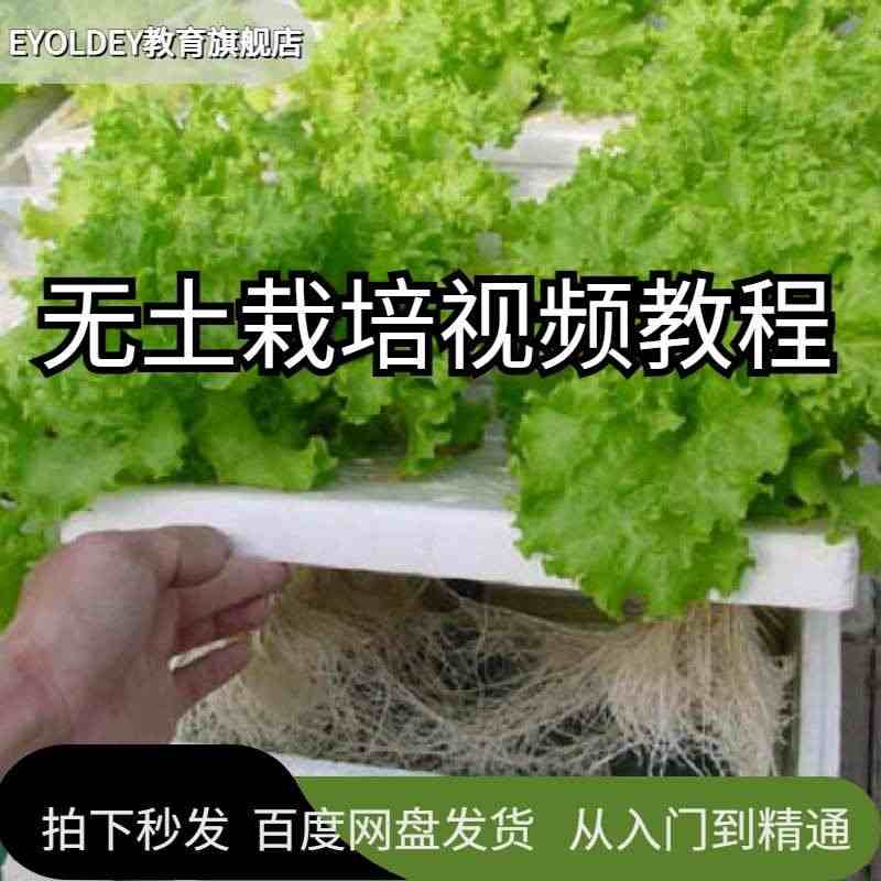 无土栽培技术培训蔬菜花卉水培视频教程无土蔬菜种植技术资料教程...