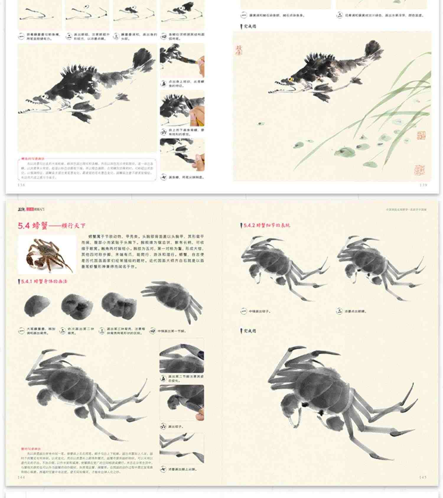 经典全集 正统国画技法入门零基础教程书籍写意临摹初学者自学少儿童教材动物花鸟牡丹梅兰竹菊水墨中国画图册范本大全 杨建飞