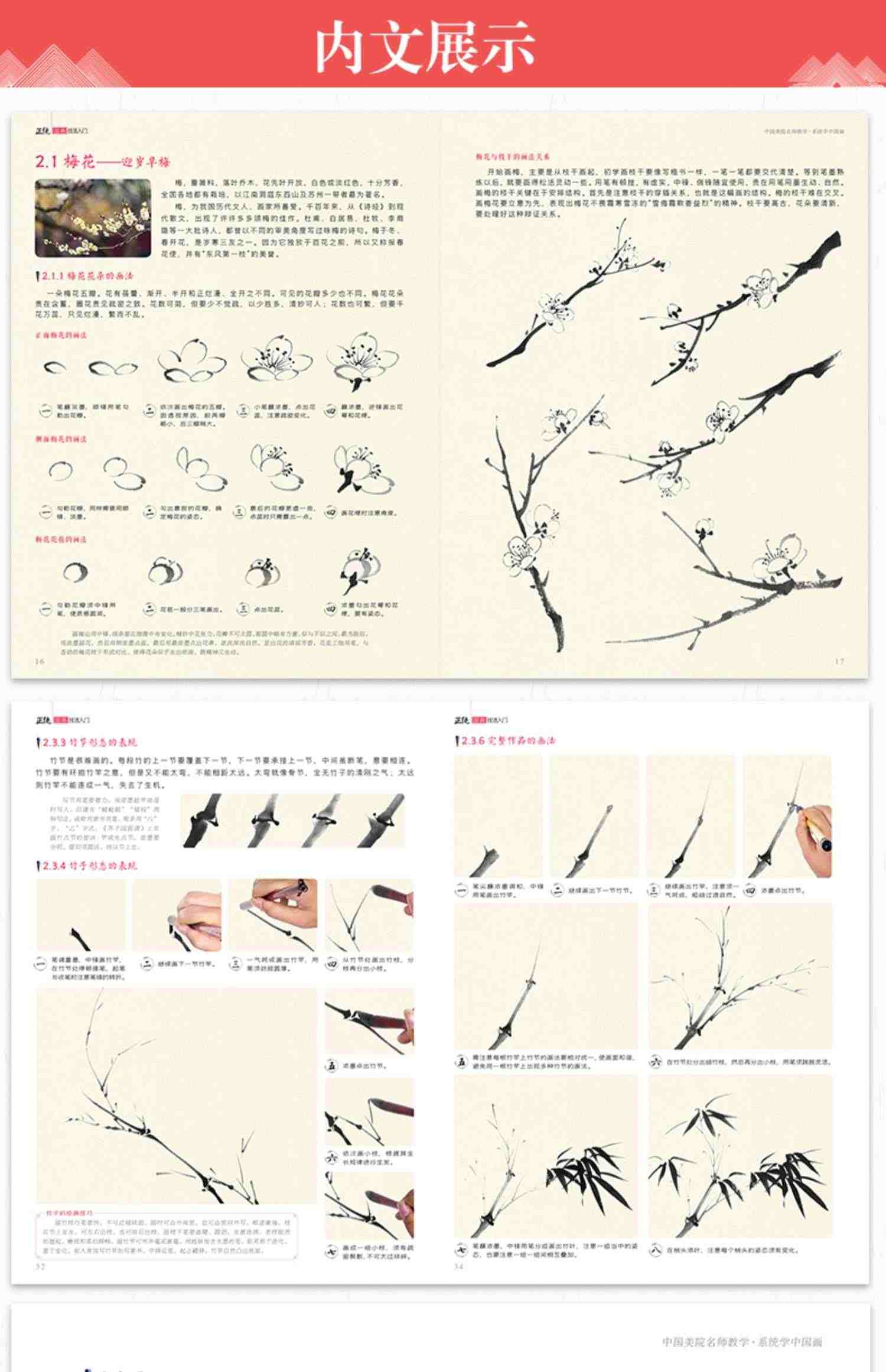 经典全集 正统国画技法入门零基础教程书籍写意临摹初学者自学少儿童教材动物花鸟牡丹梅兰竹菊水墨中国画图册范本大全 杨建飞